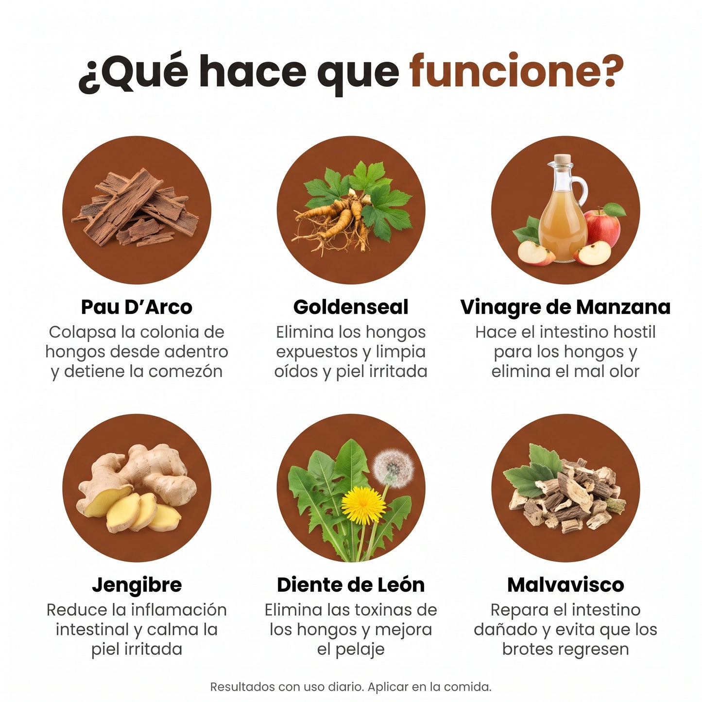 DermiClear™️  Alivia la Picazón y Equilibra la Flora Intestinal