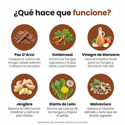 DermiClear™️  Alivia la Picazón y Equilibra la Flora Intestinal
