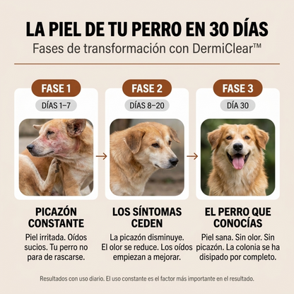 DermiClear™️  Alivia la Picazón y Equilibra la Flora Intestinal
